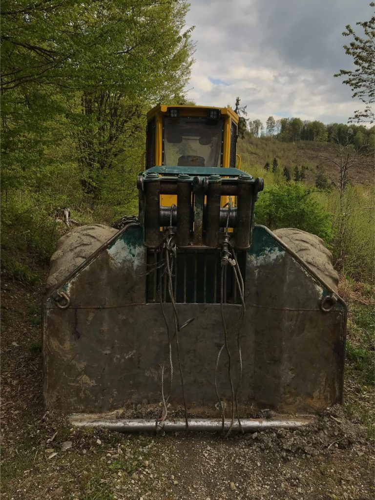 I'm off to the Forest Before they Cut It…, (2019-ongoing)