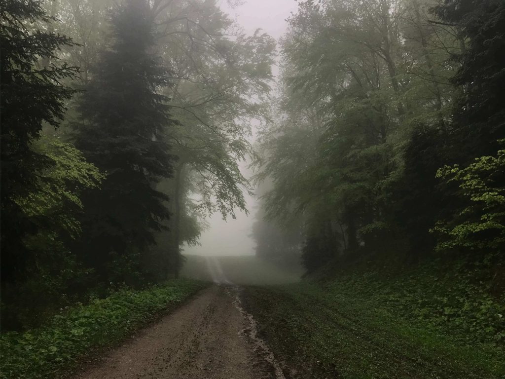 2019-2023
