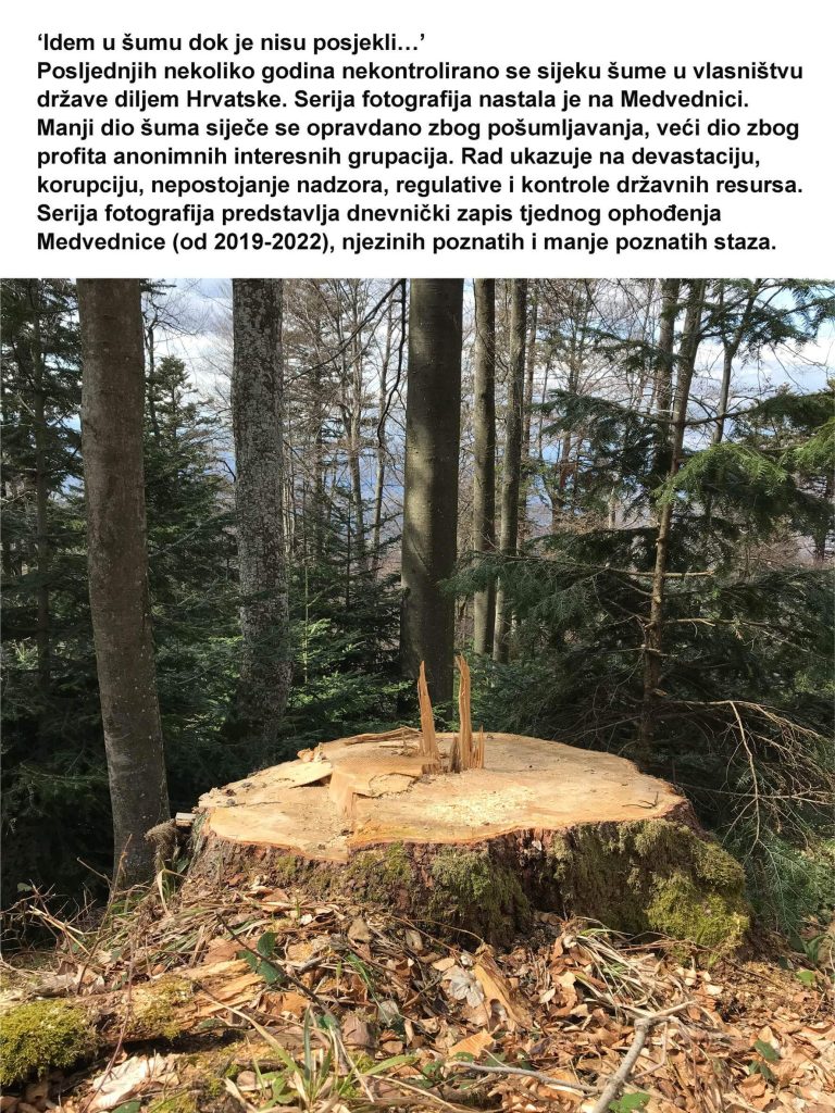 I'm off to the Forest Before they Cut It…, (2019-ongoing)